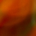 Bokeh-328